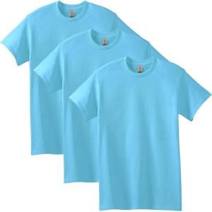 imageGildan Adult Heavy Cotton TShirt Style G5000 MultipackSky 3pack