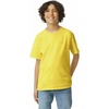 image:imageGildan Youth Ultra Cotton TShirt Style G2000B MultipackDaisy