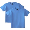 Carolina Blue