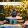 imageSereneLife 3Tier Desktop Electric Water Fountain Decor w LED  Indoor Outdoor Portable Tabletop Decorative Zen Meditation Waterfall Kit Includes Submersible Pump ampamp 12V Power Adapter SLTWF61LED