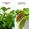 imageSereneLife Smart Starter KitHydroponic Herb Garden Indoor Plant System wHeight Adjustable LED Grow Lights 6 pods 3 ModesHome Kitchen Bedroom Office SLGLF130 Black