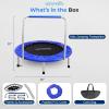 imageSereneLife 3640quot Foldable Mini Trampoline  Compact Fitness Trampoline for Kids Adults Exercise Rebounder with Foam Handle IndoorGarden Workout Equipment Max Load 150220 lbs36 IN Deep Blue
