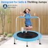 imageSereneLife 3640quot Foldable Mini Trampoline  Compact Fitness Trampoline for Kids Adults Exercise Rebounder with Foam Handle IndoorGarden Workout Equipment Max Load 150220 lbs36 IN Sky Blue