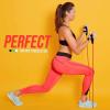 imageSereneLife Adjustable Resistance Band  Portable Home Workout Exercise Band for Resistance Training Physical Therapy Yoga Pilates SLRBGF one Color