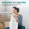 imageSereneLife Counter Towel Warmer Bucket  with Customized Fragrance for Spa and Bathroom Luxury Towel Heater Auto Shut off Fits 1 large Towel Blanket Bathrobe PJs BlackHoney