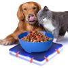 imageSereneLife Non Skid Pet Bowl Set  No Flip Dog Bowl Dog Spill Proof Mat Set  Interlocking Non Skid Pet Puppy Cat Dog Bowl with Mat  Twisty Dish FoodWater Bowl for Mess Free Feeding SLTDG66 BlueDefault Title