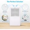 imageSereneLife Portable Electric Home Mini Dehumidifier  322 Square Feet Quiet Compact Small Dehumidifiers for Home Closet Basement w 3L Water Tank Capacity Removes Moisture PDUMID95