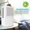 imageSereneLife Portable Electric Home Mini Dehumidifier  322 Square Feet Quiet Compact Small Dehumidifiers for Home Closet Basement w 3L Water Tank Capacity Removes Moisture PDUMID95