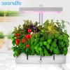 image:imageSereneLife Hydroponic Herb Garden Kit  8 Seed Pods Included Indoor Garden with FullSpectrum Grow Light Adjustable Height and Smart Hydroponic System