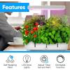 image:imageSereneLife Hydroponic Herb Garden Kit  8 Seed Pods Included Indoor Garden with FullSpectrum Grow Light Adjustable Height and Smart Hydroponic System