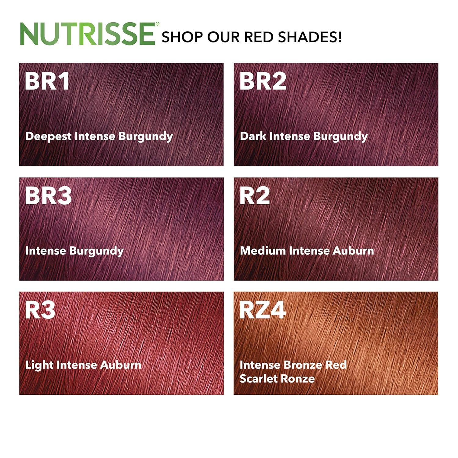 Garnier Hair Color Nutrisse Ultra Color Nourishing Creme, R3 Light ...