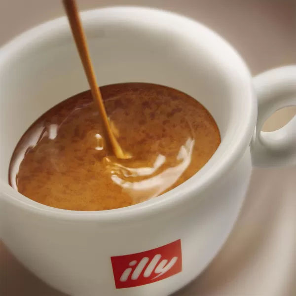 illy Arabica Selections Nicaragua Whole Bean Coffee, 100% Arabica Bean Single Origin Coffee, No Preservatives, 8.8oz 