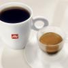 imageilly Whole Bean Coffee  Perfectly Roasted Whole Coffee Beans  India Dark Roast  with Notes of Black Pepper ampamp ExtraDark Chocolate  FullBodied  100 Arabica Coffee  No Preservatives  88 Ounce90th Anniversay  Classico