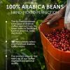 imageIlly Whole Bean Coffee Classico Medium Roast  Mild ampamp Balanced  100 Arabica  Whole Beans  Pressurized Packaging Sealed for Freshness  88oz can Pack of 12Classico Medium Roast