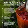 imageIlly Whole Bean Coffee Intenso Bold Roast  Bold ampamp Flavorful  100 Arabica  Whole Beans  Pressurized Packaging Sealed for Freshness  88oz can Pack of 12Intenso Bold Roast