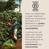 image:imageilly Ground Drip Coffee Brasile Medium Roast 88oz 6 Pack  Regenerative Agriculture 100 Arabica Premium Italian Coffee Ideal for Espresso Drip Moka and French PressBrasile Regenerative Agriculture