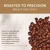 image:imageilly Whole Bean Coffee Brasile Medium Roast 88oz 6 Pack  Regenerative Agriculture 100 Arabica Premium Italian Coffee Ideal for Espresso Drip Moka and French PressCosta Rica Single Origin Medium Roast