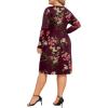image:imagePOSESHE Womens Plus Size Dresses Long Sleeves Crew Neck Casual Dresses Empire Waist Loose Flowy Dress with PocketsC10wine Red Flower